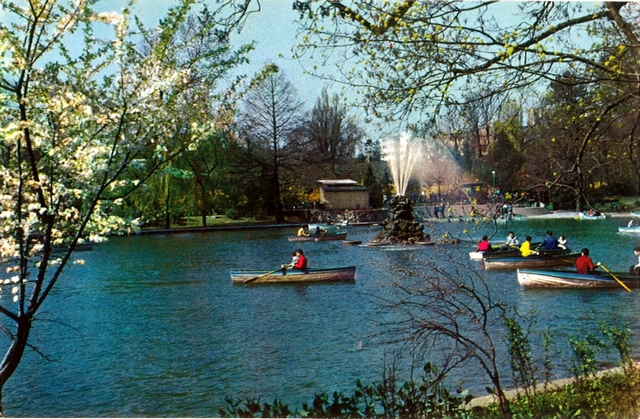 1481-2 - Bucuresti. Gradina Cismigiu